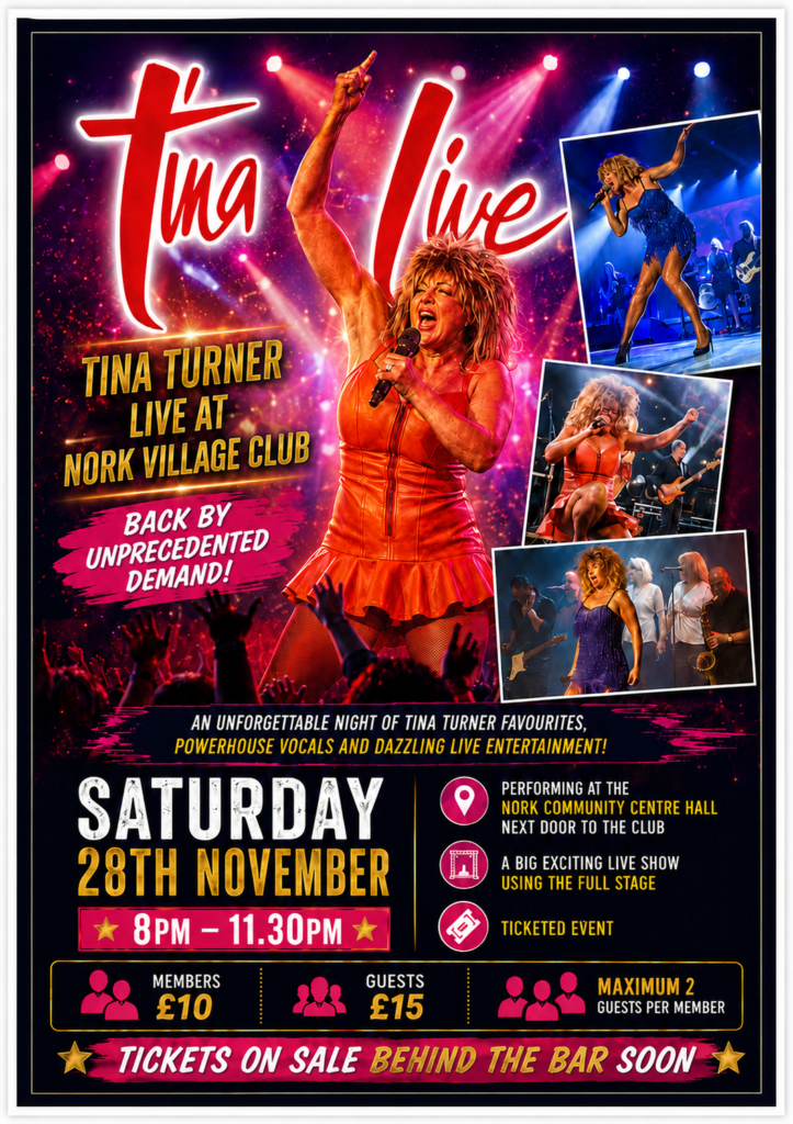 Tina Turner & Band Tribute